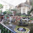 Cascades-Walkway