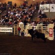 franklin-rodeo-bull-riding
