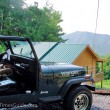 parked outside our cabin rental