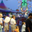 williamson county fair - franklin tennessee