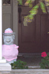 A baby girl was born... a-little-girl-piglet-was-born.jpg