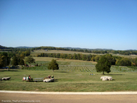 arrington-vineyards-scenery.jpg