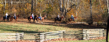 horse-banner.jpg