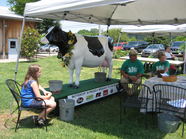 how-to-milk-a-cow-franklin-farmers-market.jpg