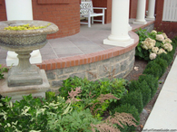 landscaping-in-front-brownstones.jpg