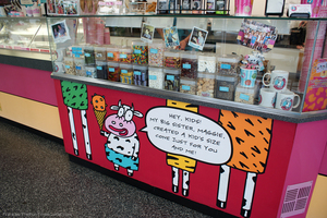 maggie-moos-flavors-and-mix-ins.jpg