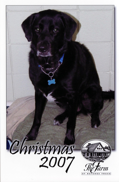 tenor-the-farm-christmas-2007.jpg