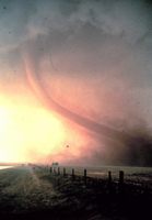 tornado-twister.jpg