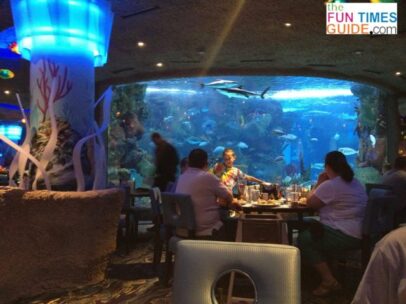 It’s A Fun Dining Experience For Kids And Adults At The Aquarium Restaurant: Nashville, TN