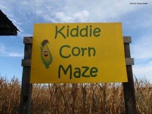 Kiddie_Corn_Maze