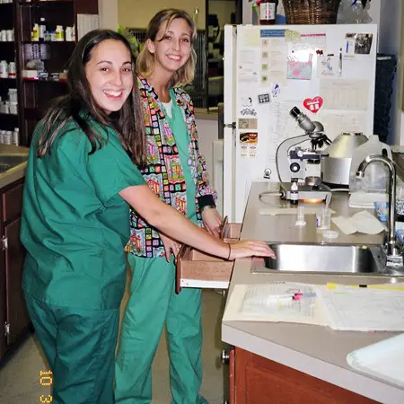 Elana and Miranda working at Cool Springs Animal Hospital.