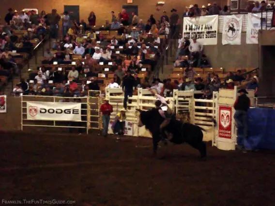 franklin-rodeo-bull-riding