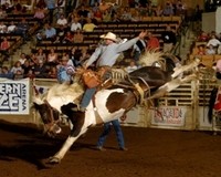 franklin-rodeo-picture.jpg