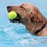 golden-dog-jumping-in-pool2.jpg