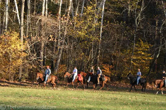 Horseback Riding In Franklin & Nashville, Tennessee | Franklin ...