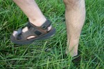 Jim's hairy legs collecting chiggers and weeds in the tall grass at the Williamson County Fair.