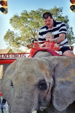 Karly enjoying her first elephant ride during Peru's Circus City Days.