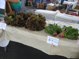 lettuce-veggies-franklin-farmers-market.jpg