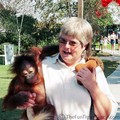 Lucie Easley with her Zoo baby... Kera the orangutan.