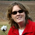 Lynnette pickin' cotton along the roadside between Nashville and Mississippi on the Natchez Trace Parkway.