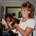 When I was hired at The Zoo, they were 9 months into hand-raising this baby orangutan named Kera.