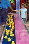 Rubber ducky midway game at the Williamson County Fair in Franklin, Tennessee.