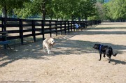 the-play-yard-inside-warner-dog-park.jpg