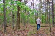 walking-in-the-woods-natchez-trace.jpg