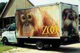The 'zoomobile' at the Gulf Breeze Zoo featuring their orangutan exhibit.
