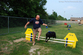 jim-showing-tenor-how-to-jump-the-fence.jpg